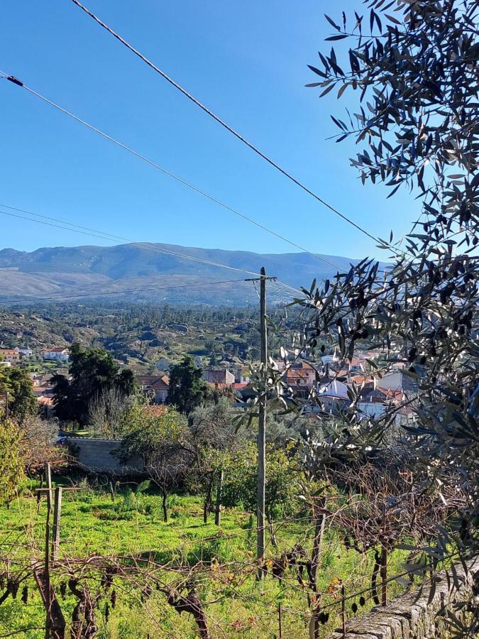 Apartament Casa Das Cortes - Serra Da Estrela Gouveia  Zewnętrze zdjęcie