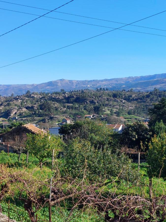 Apartament Casa Das Cortes - Serra Da Estrela Gouveia  Zewnętrze zdjęcie