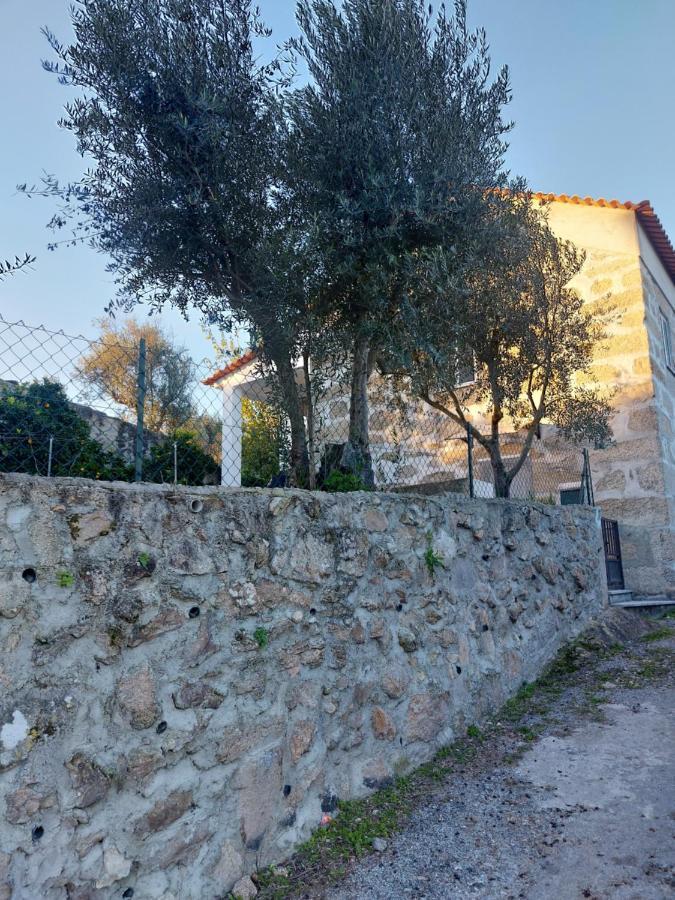 Apartament Casa Das Cortes - Serra Da Estrela Gouveia  Zewnętrze zdjęcie